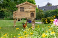 Kippenhok nachthok Kasper