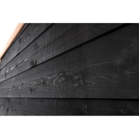 Kippenhok nachthok Tijn