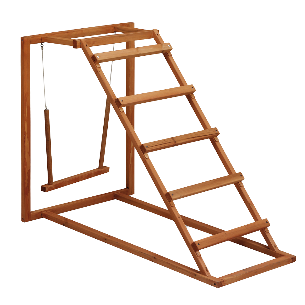 Gaun Chicken Activity Center