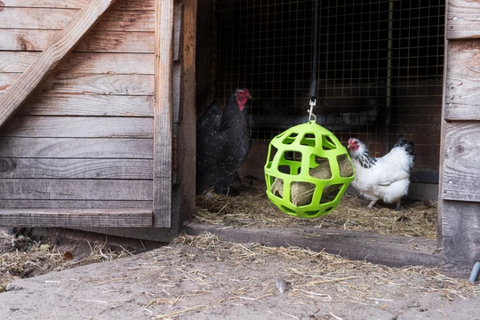 Lax Pikblok voor Legkippen 3,5 kg