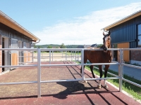 GV3 Fix paddockafscheiding