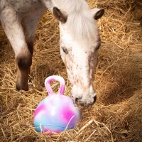 Speelbal voor paarden