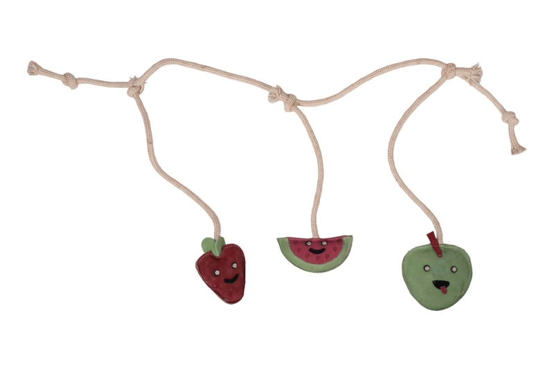 Paardenspeeltje -Fruits-