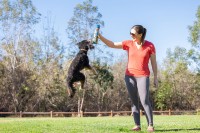 Chuckit! Sniff Fetch Ball Bacon & Peanut Butter M 4-pack