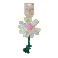 Garden Paws Flower Spring Sakura S
