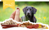 Lunas Choice Trainer Mix Hartjes