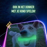 2 Glow Cracking & Tracking Bone